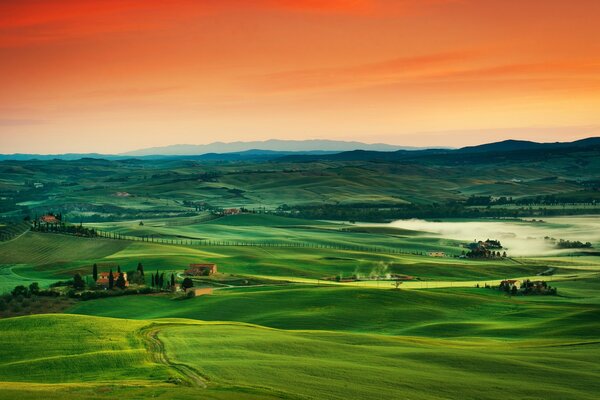 Landscape in bright colors. Green Plain