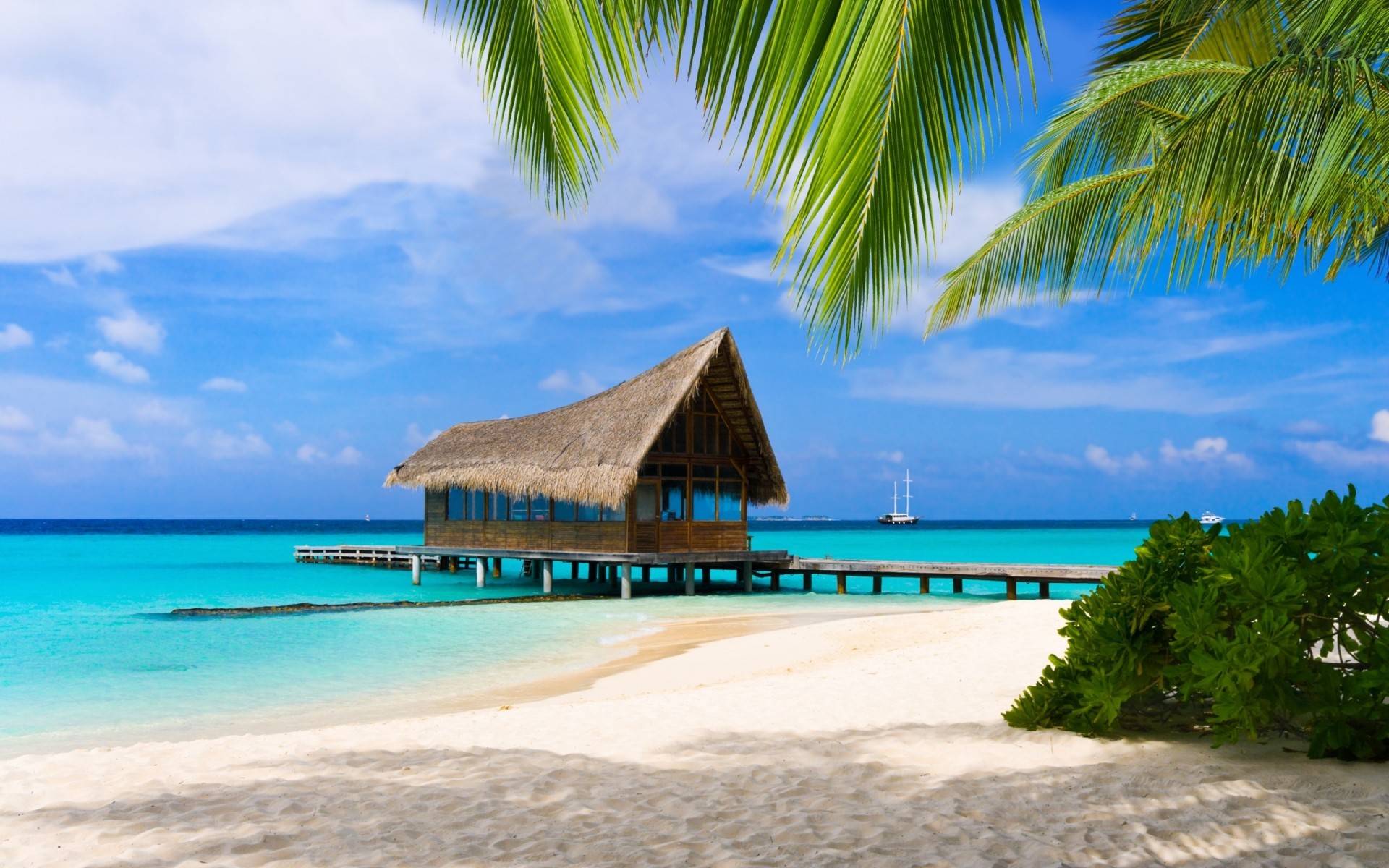 landschaft sand tropisch strand idylle insel sommer meer exotisch reisen resort entspannung ozean wasser urlaub paradies sonne türkis palmen landschaft malediven prächtig