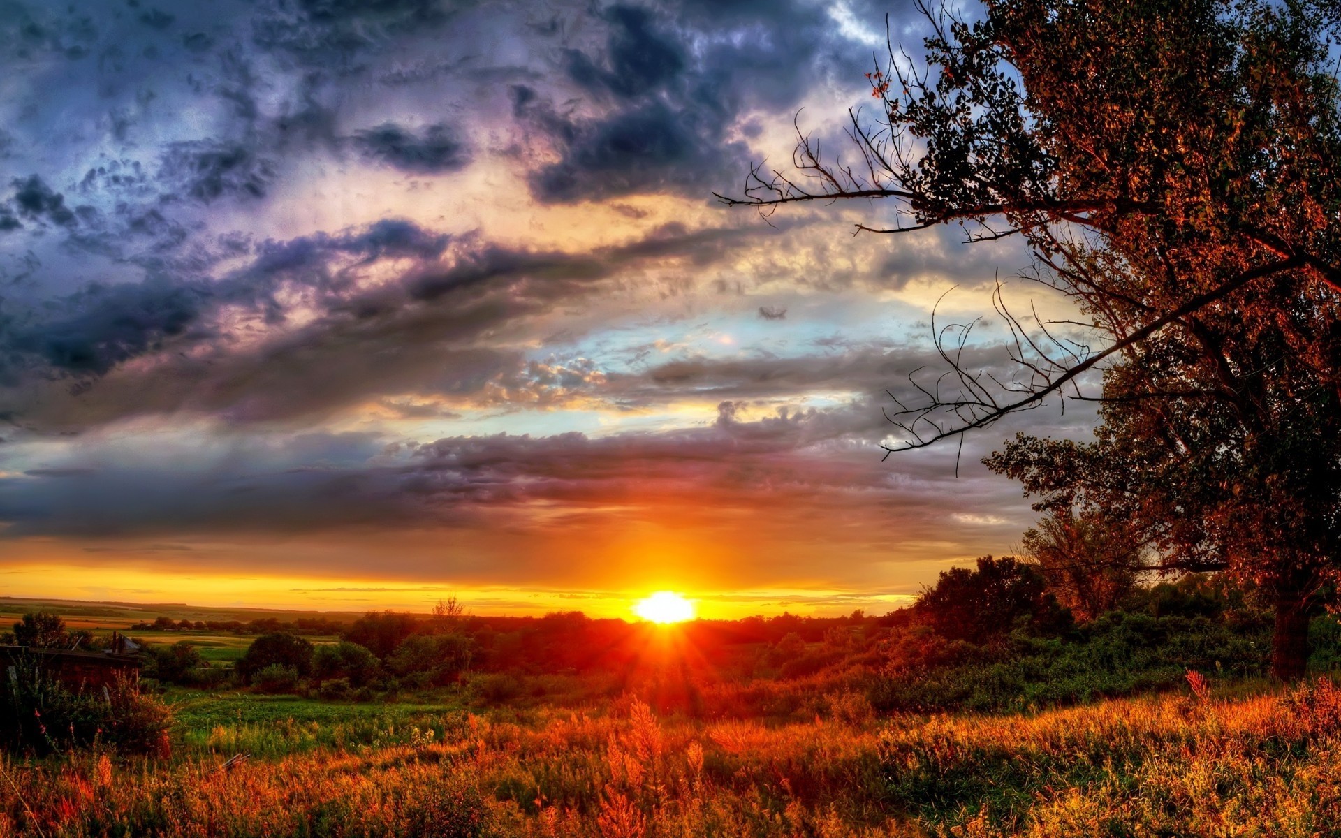 landscapes sunset dawn sun landscape nature sky fair weather dusk evening tree bright rural outdoors cloud light summer fall field countryside gorgeous cool beautiful