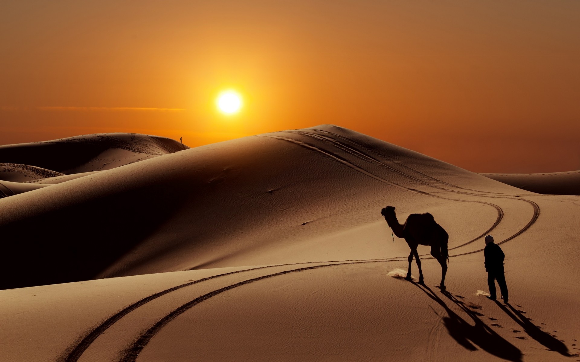 paisagens pôr do sol amanhecer paisagem deserto sol praia iluminado noite viagem sombra luz céu silhueta oceano areia crepúsculo camelo