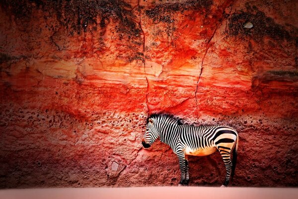 Australian contrast of black and white and red