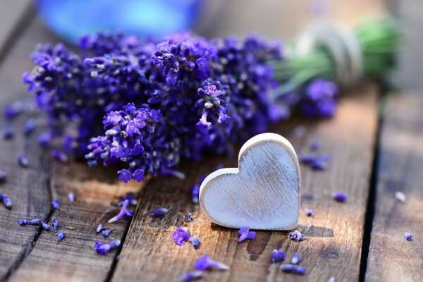 Lilac lavender flowers with a heart