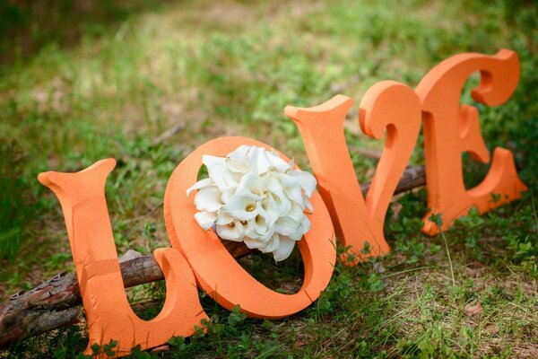 Nature love flowers grass orange color