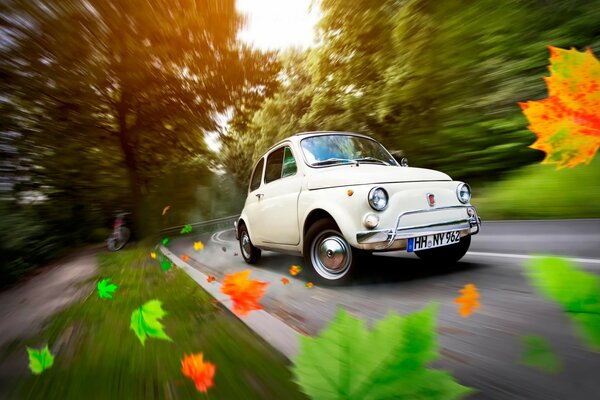 Une petite voiture a dispersé les feuilles