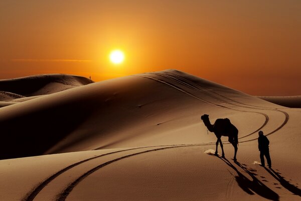 منظر غروب الشمس في الصحراء