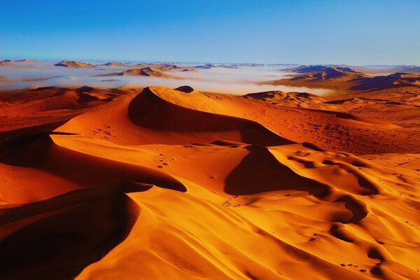 Paisajes de arena en el desierto al amanecer