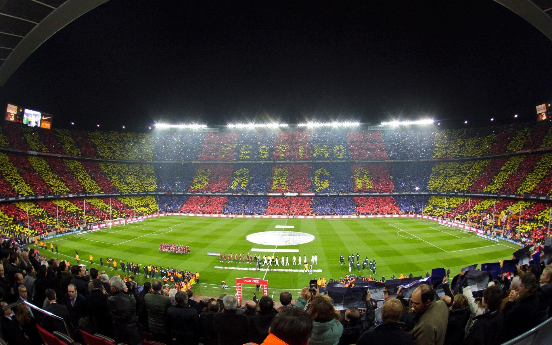 fútbol estadio fútbol aficionado a los deportes competición audiencia pelota atleta juegos partido grada campeonato gradas lugar muchos espectador béisbol copa grupo multitud campamento barcelona aficionados completo