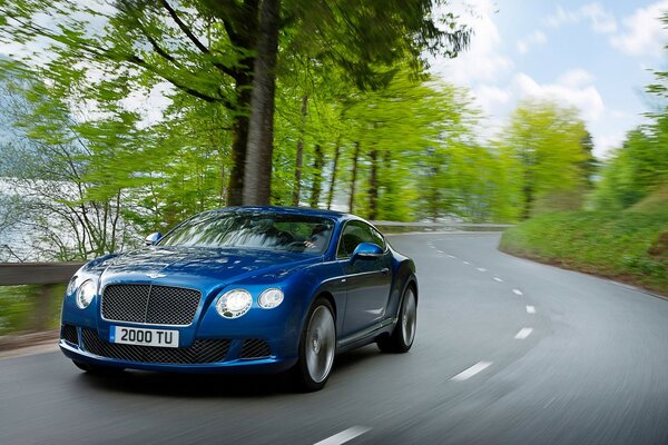 Une bentley bleue se précipite sur une route forestière