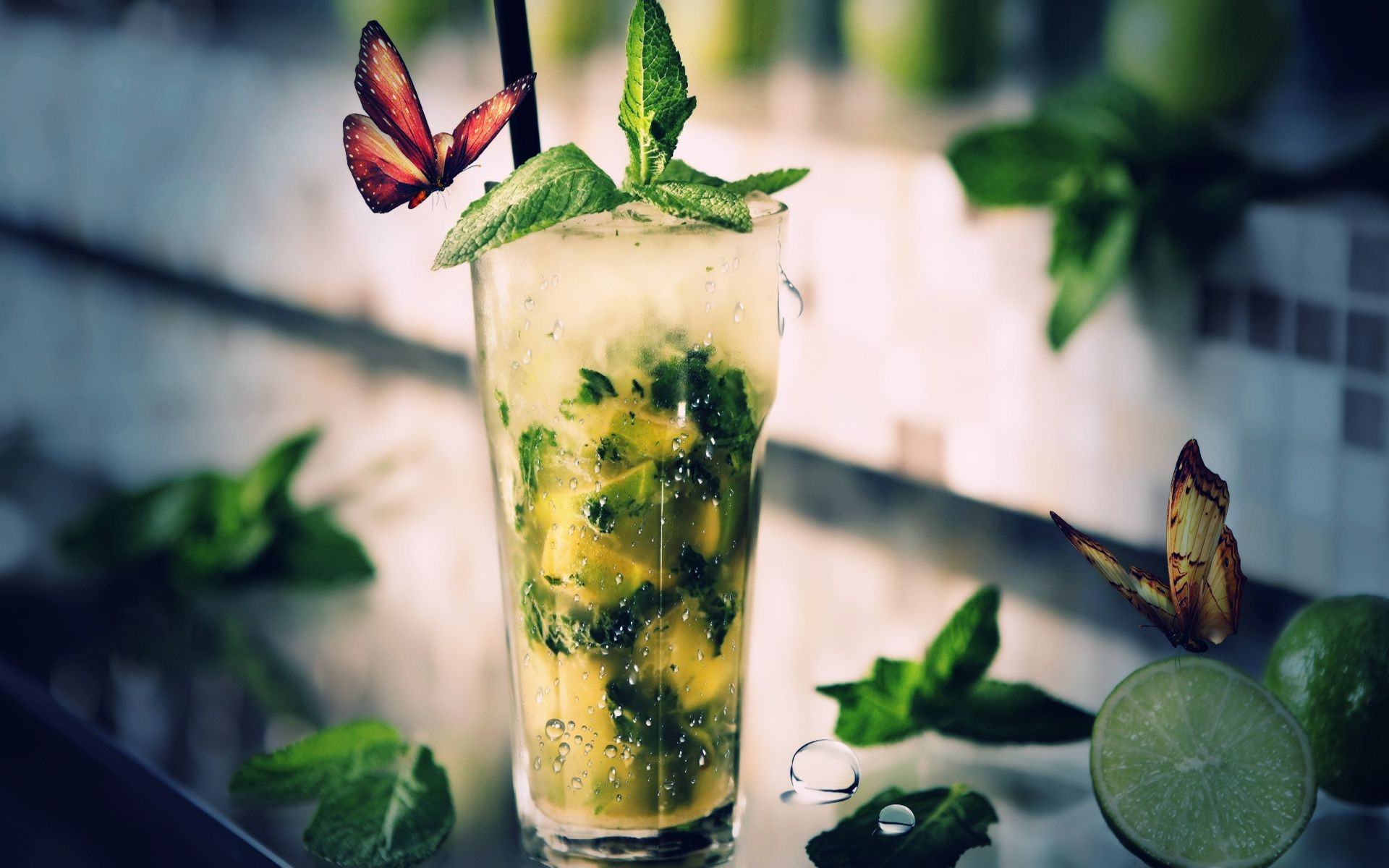 drinks leaf food fruit glass drink cocktail grow juice summer mint