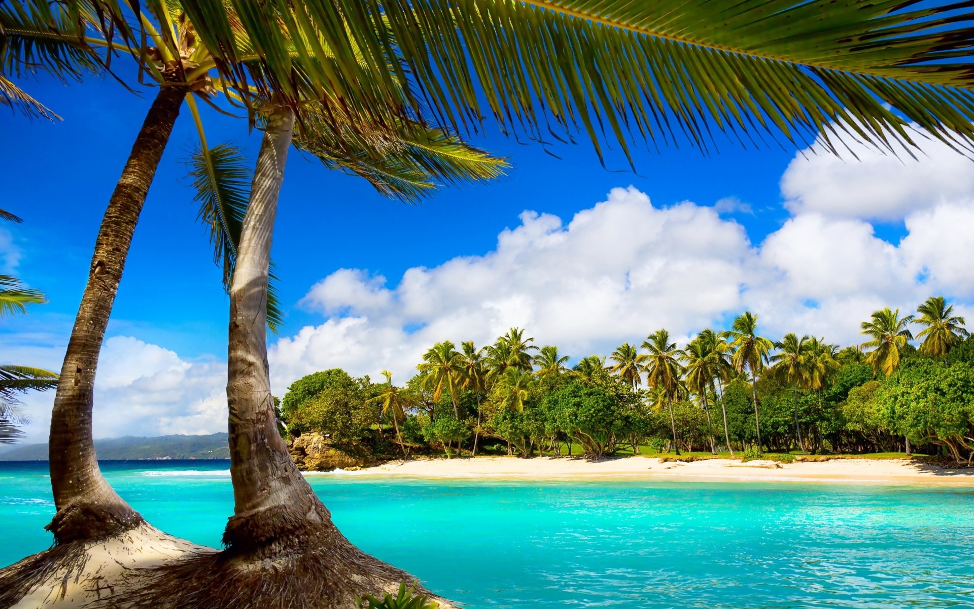 paysage tropical eau sable exotique plage idylle voyage turquoise détente été île paradis paume soleil noix de coco vacances paysage station balnéaire océan mer paysage