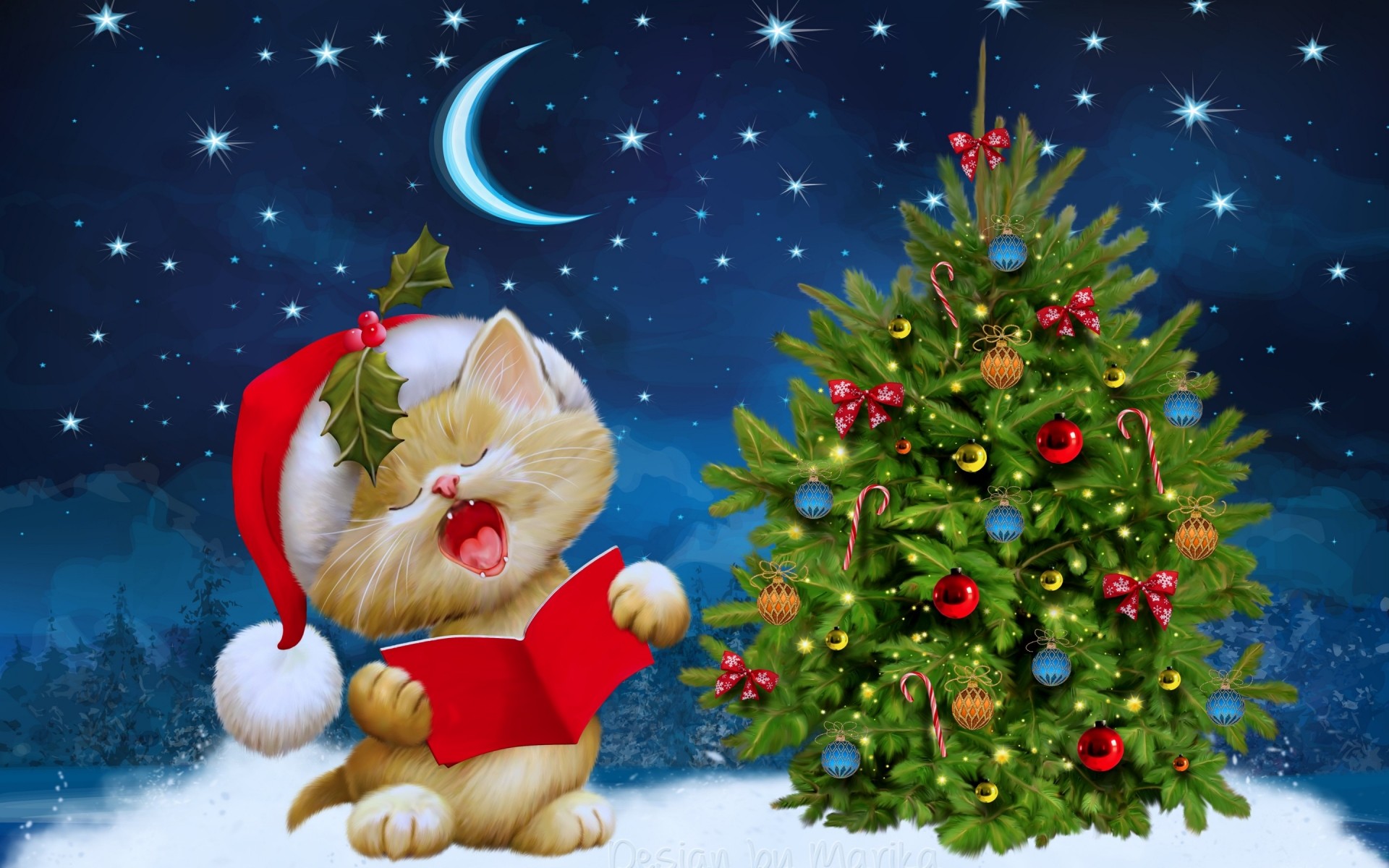 katzen weihnachten winter urlaub merry weihnachtsbaum eva baum schnee tanne dekoration geschenk kiefer saison holly urlaub ball neues jahr schneeflocke natur weihnachtsschmuck