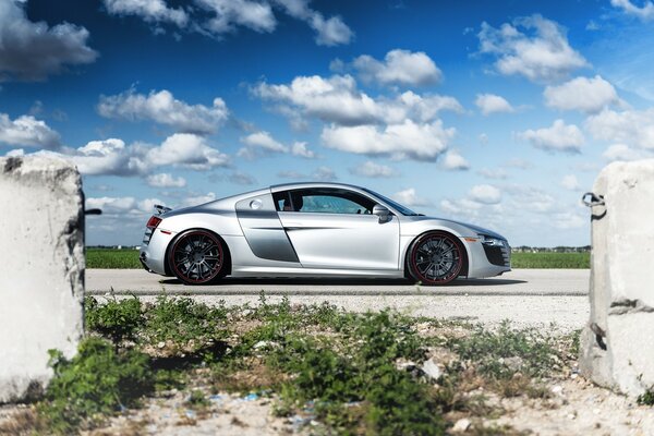 Coche gris en la naturaleza