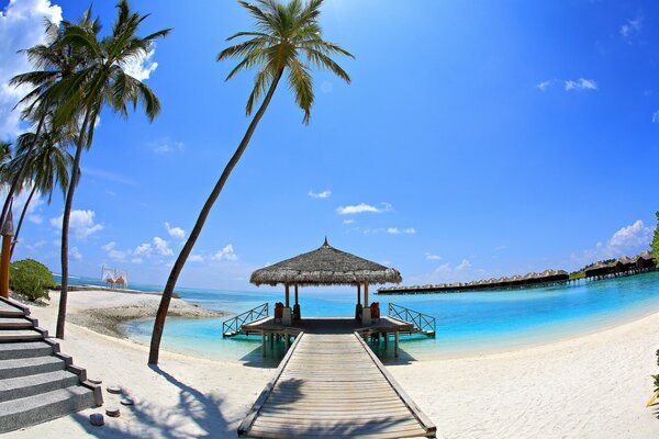 Palm trees over the bridge leading to the sea