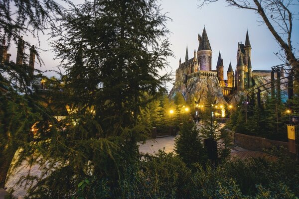 A large castle stands behind a woodland area