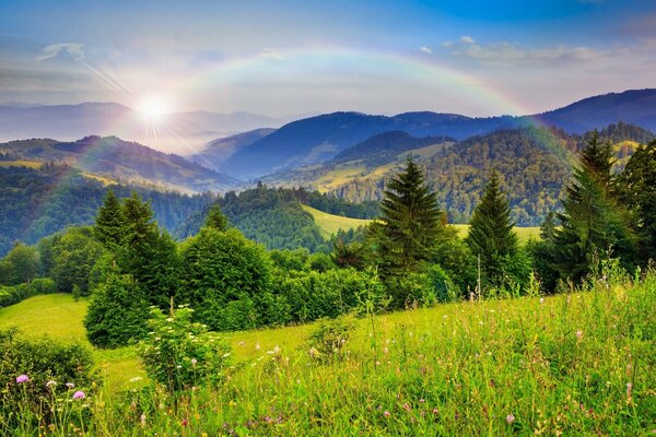 Beautiful landscape of nature forests and mountains