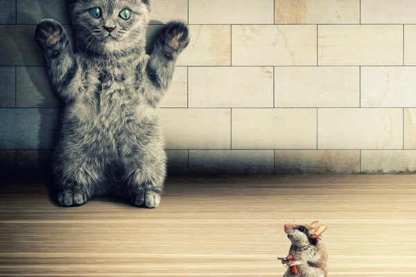 A gray kitten stands on its hind legs