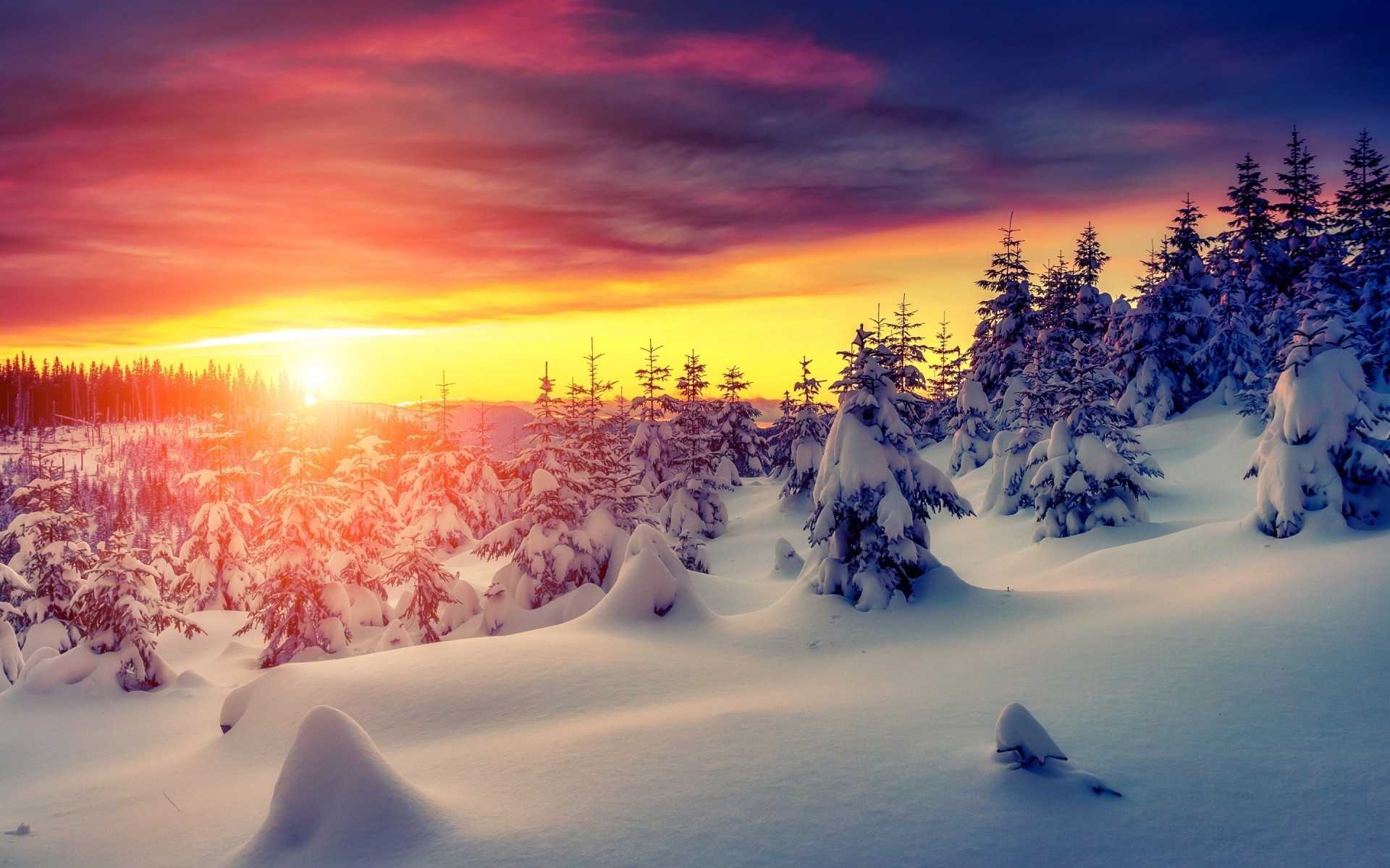 landschaft schnee winter kälte frost landschaft dämmerung gefroren landschaftlich eis sonnenuntergang weihnachten jahreszeit baum gutes wetter berge sonnenaufgang berge