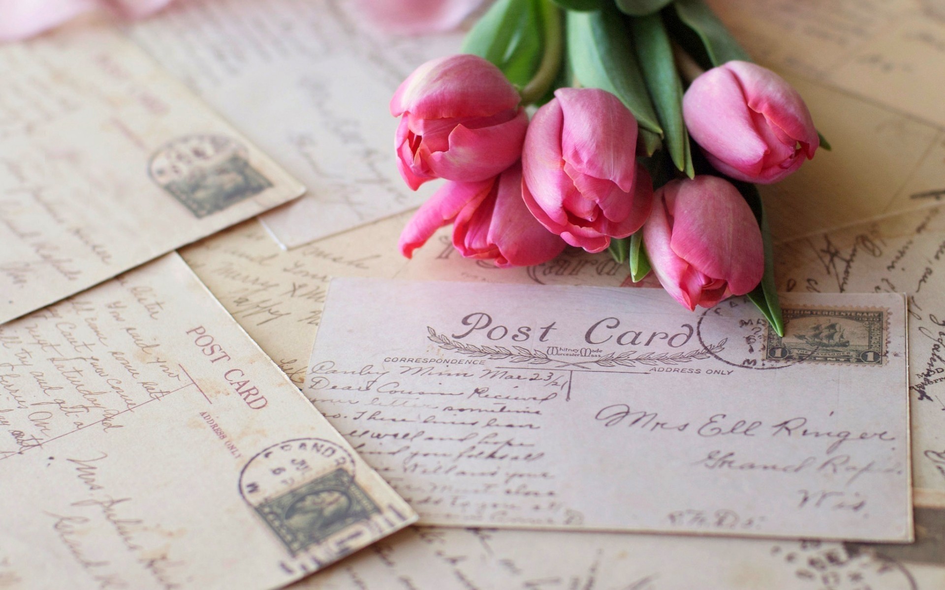 blumen papier liebe stillleben romantik text karte seite schreibe holz tulpen rosa postkarten vintage