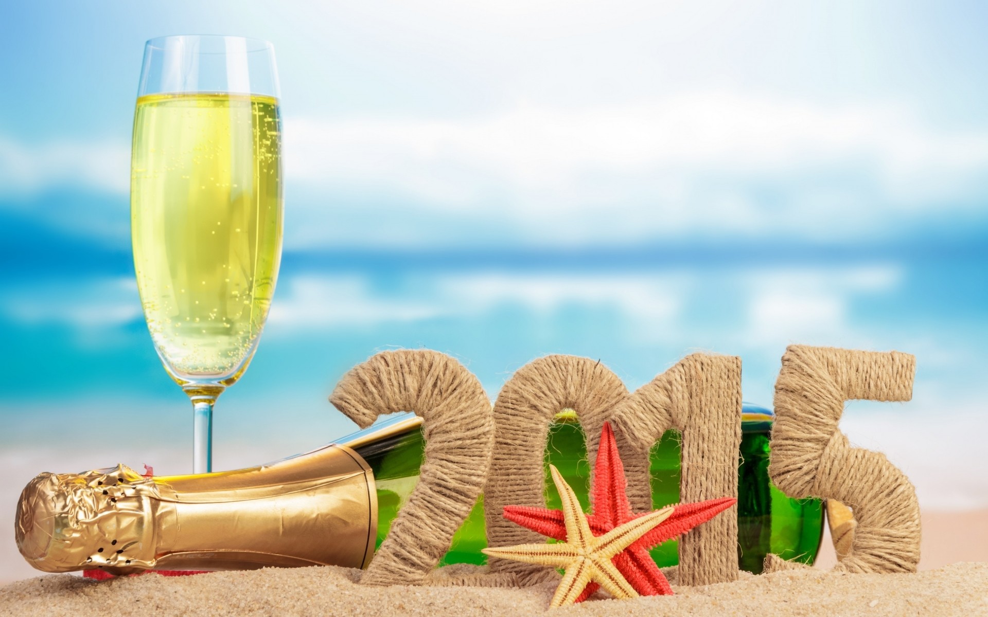 ano novo champanhe vinho garrafa férias vitória vidro beber brinde feriado espumante álcool luxo eva romance verão prazer parabéns festa relaxamento 2015 ano novo