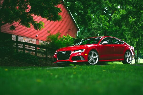 Cherry Audi in the countryside