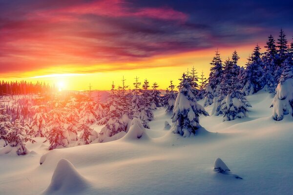 Hermoso amanecer en una llanura cubierta de nieve