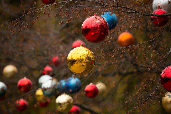 Juguetes de árbol de Navidad en ramas de árbol de otoño