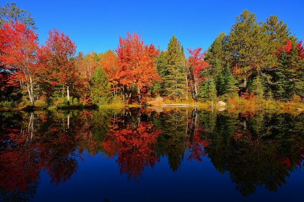 The splendor of nature in the autumn landscape