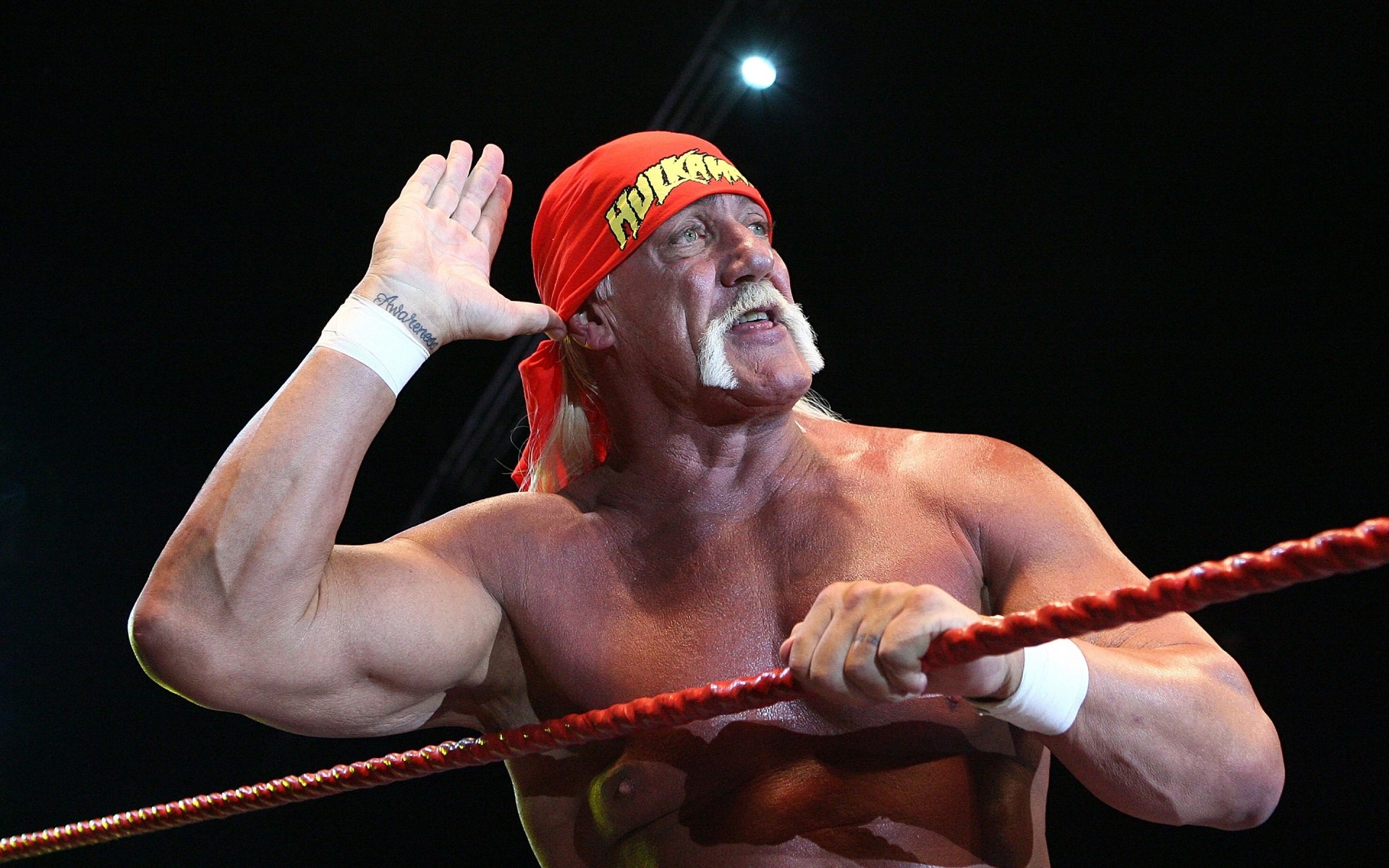 the fight competition athlete man adult boxer one sports equipment festival strength hulk hogan