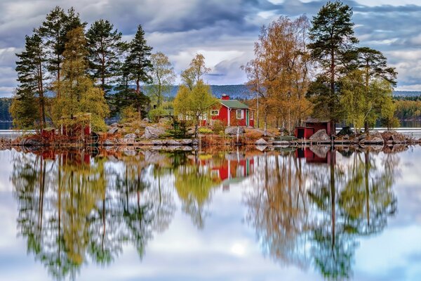 Przytulny domek na wyspie otoczonej drzewami