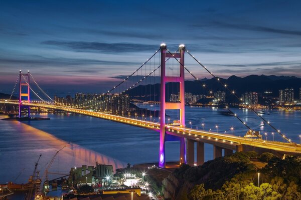 Puente sobre un gran río en América