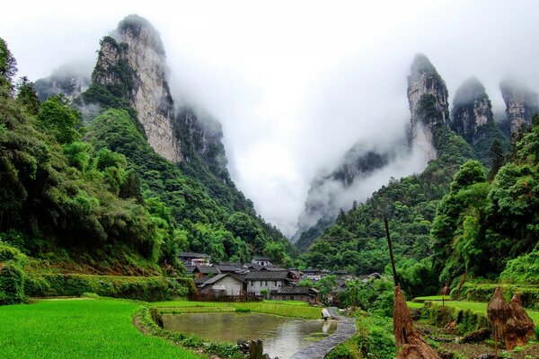 中国夏季有池塘和雾的山