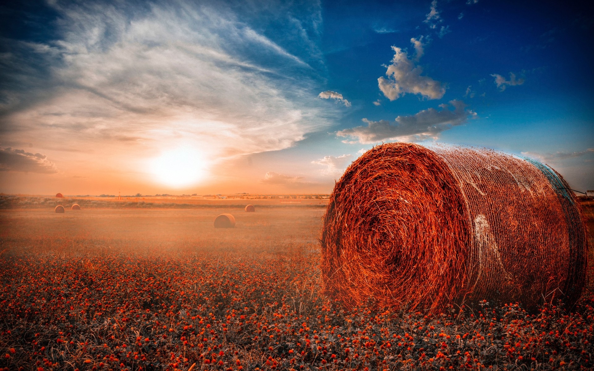 paysage coucher de soleil aube soleil paysage ciel soir nature crépuscule été beau temps or à l extérieur rural champ foin rouleaux