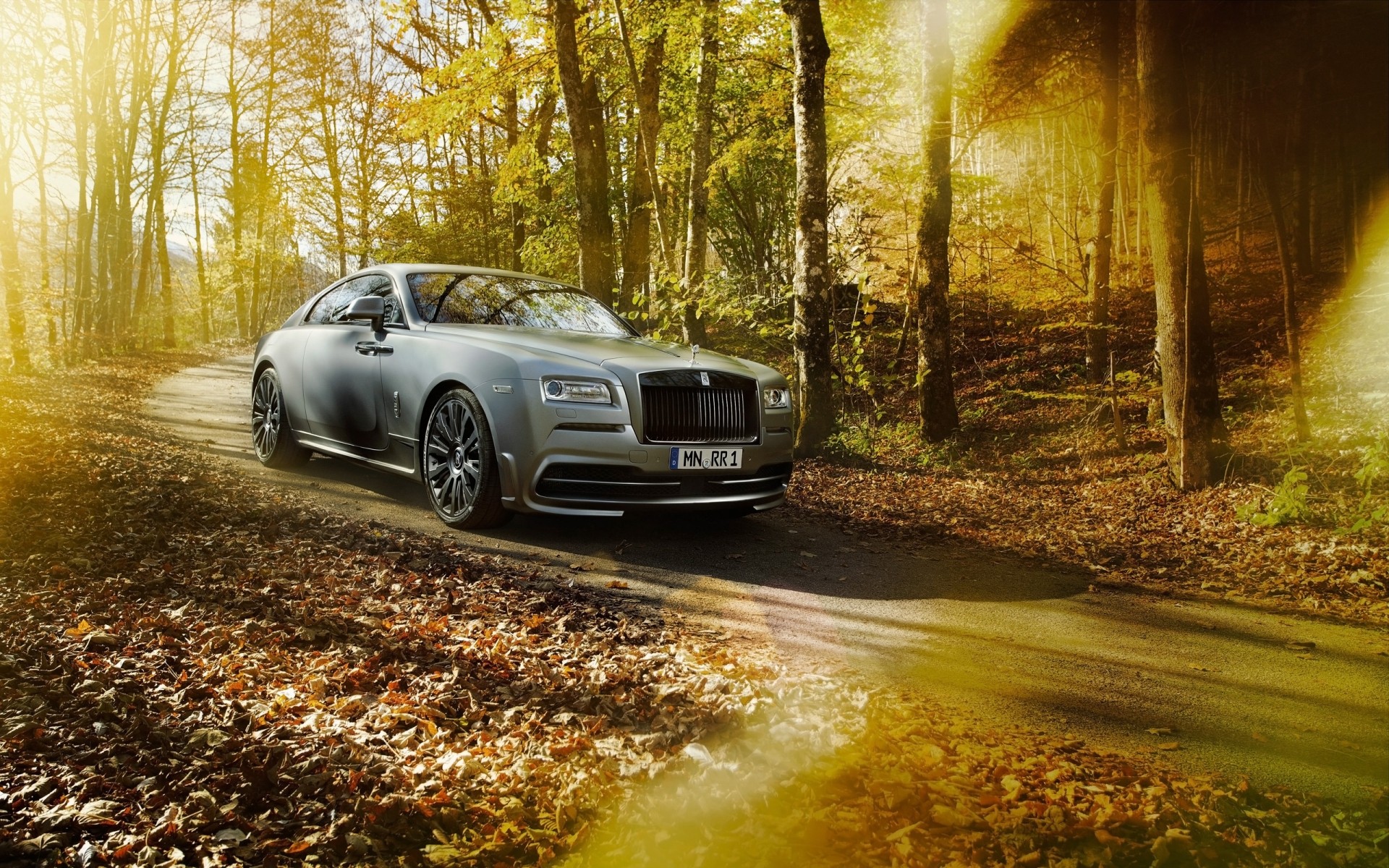 rolls royce fall road wood tree nature leaf landscape car light park outdoors spofec rolls royce rolls royce wraith