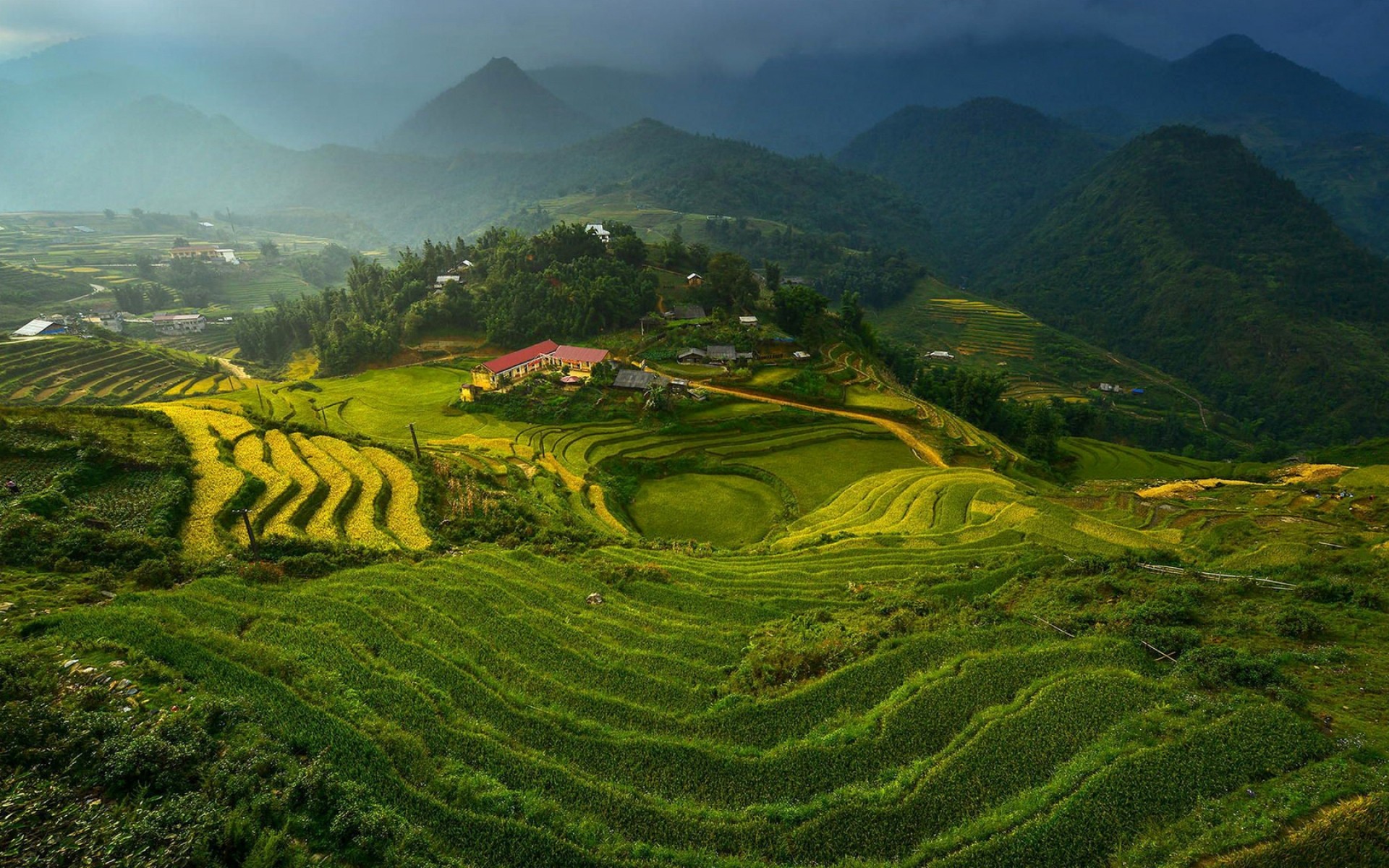 paesaggio terreni coltivati agricoltura paesaggio viaggi collina valle natura montagna all aperto campagna piantagione fattoria rurale crescita cielo riso terrazza vietnam montagna foresta