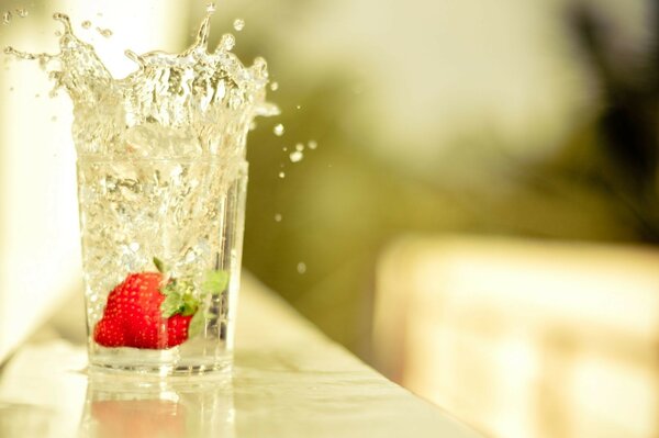 Erdbeeren in einem Spritzer Eiswasser