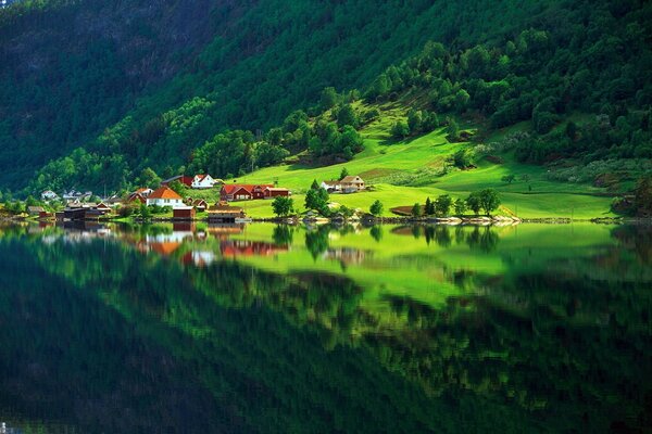 Природа озеро зелень літо будинку ліс село