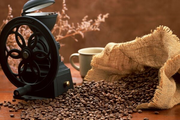 Al amanecer, es agradable beber espresso