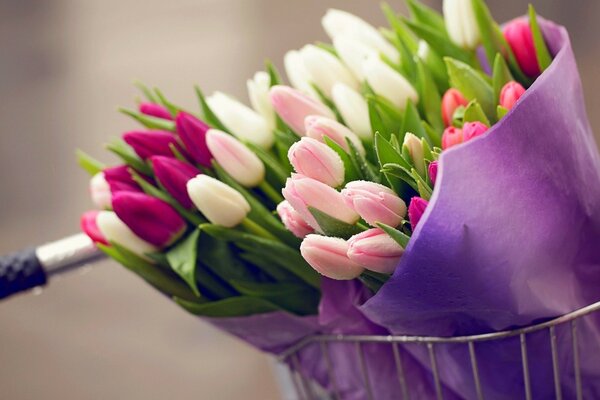 Flowers tulips in a bouquet in nature