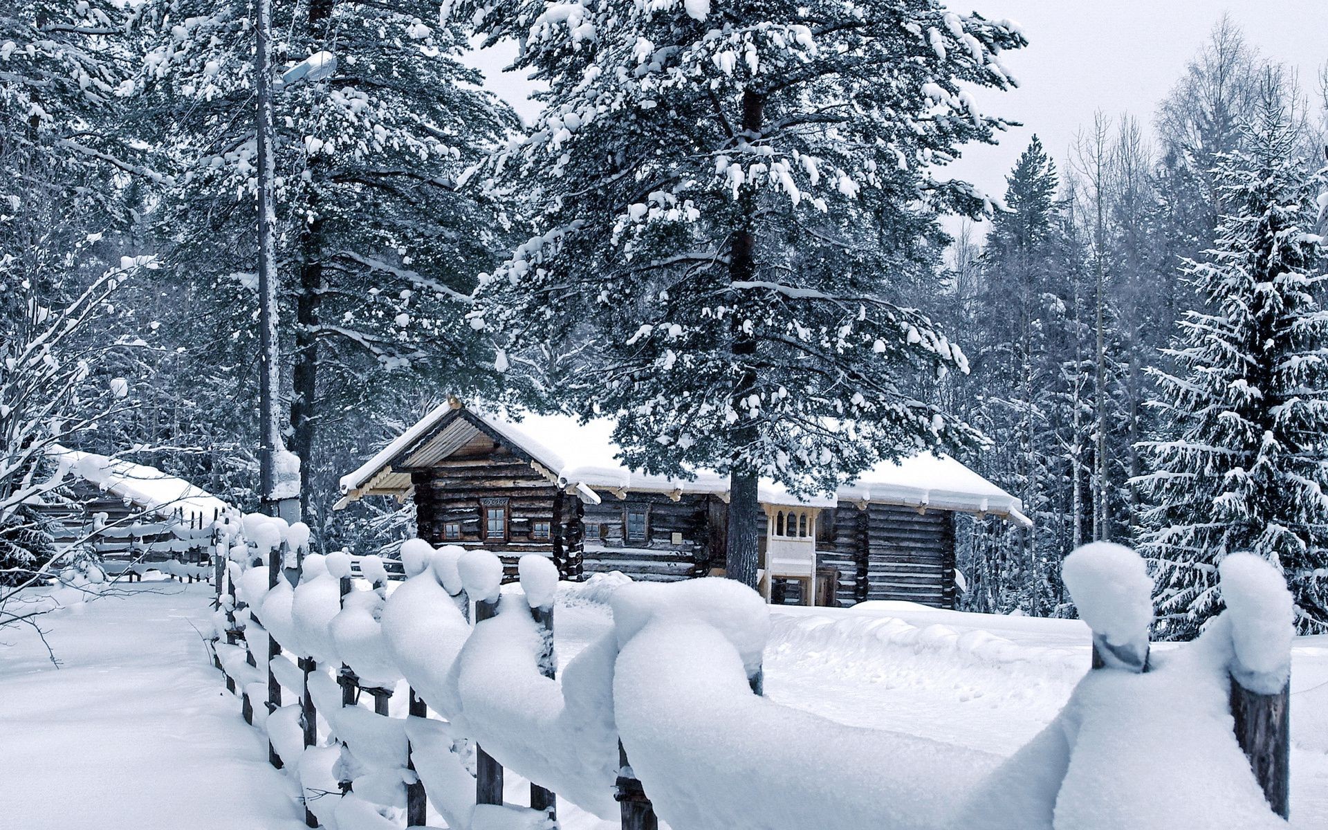 winter schnee holz kalt holz berg frost gefroren eis landschaft resort landschaftlich