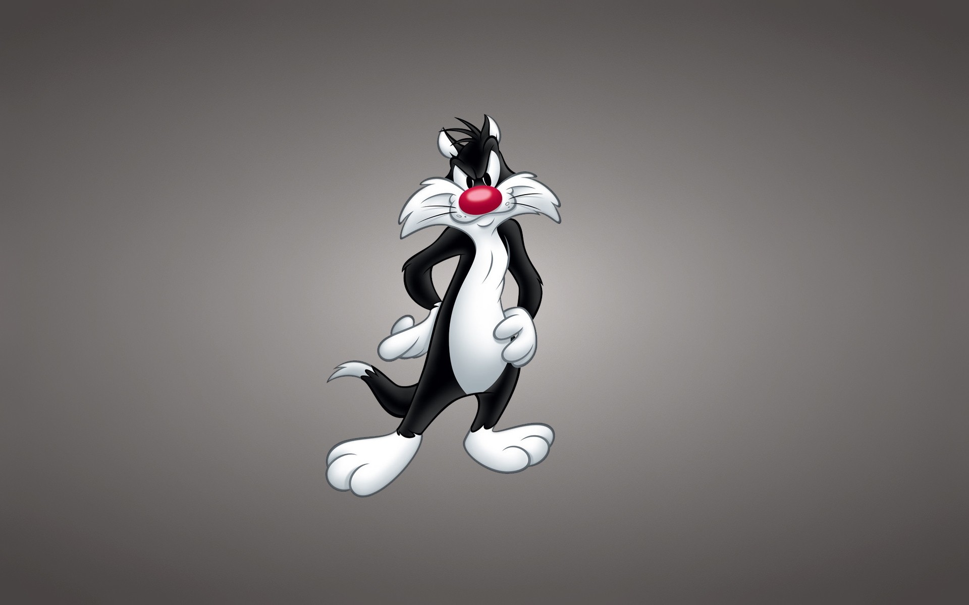 desenhos arte ilustração desktop sylvester gato looney tunes melodia engraçada