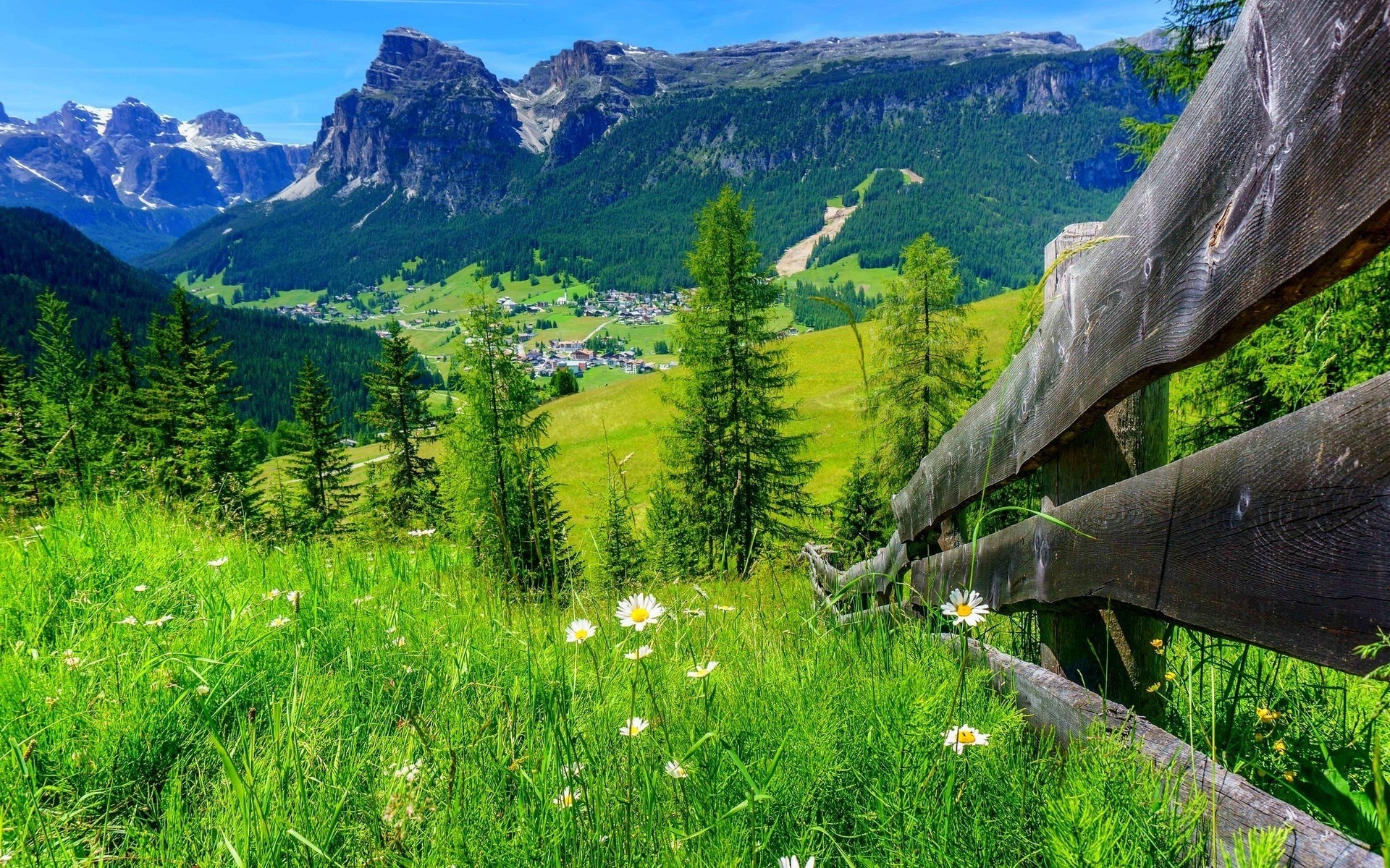 landscapes wood nature mountain landscape outdoors grass scenic summer travel tree sight hayfield scenery sky valley rural mountain peak scene wild spring mountains