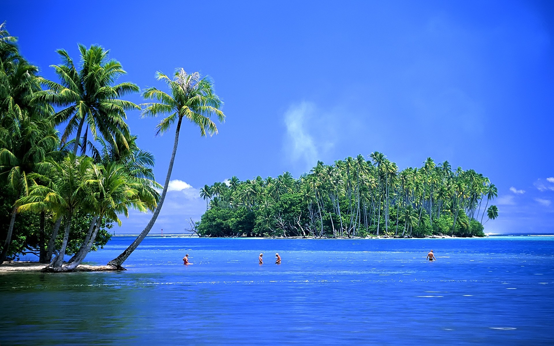 paesaggio tropicale acqua isola mare spiaggia oceano albero viaggi estate idillio esotico paradiso vacanza cielo mare natura resort paesaggio palme paesaggio