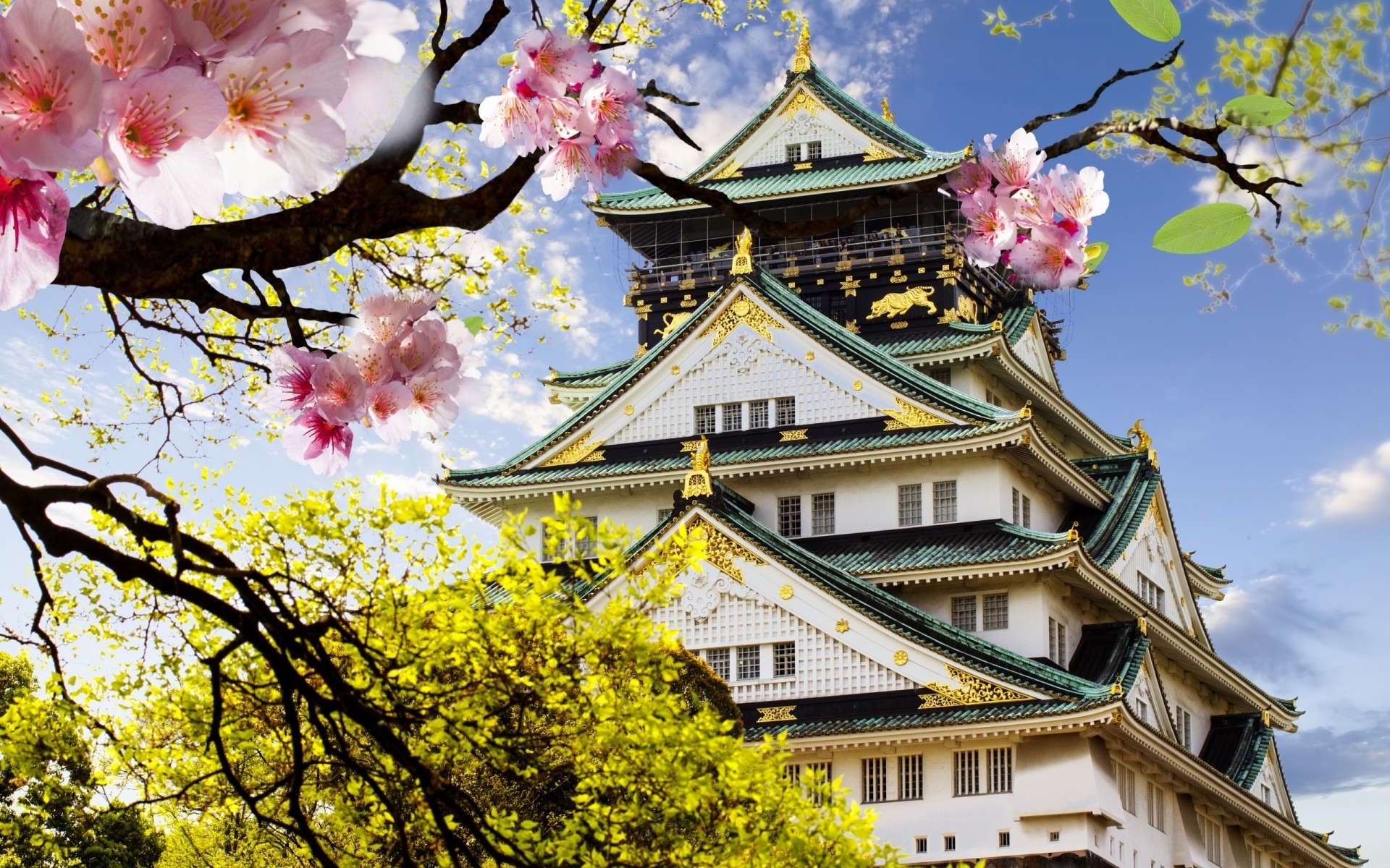 japan baum himmel tempel blume architektur kultur natur garten park haus reisen flora traditionell schön im freien religion blatt zweig farbe schloss japanisch blüte