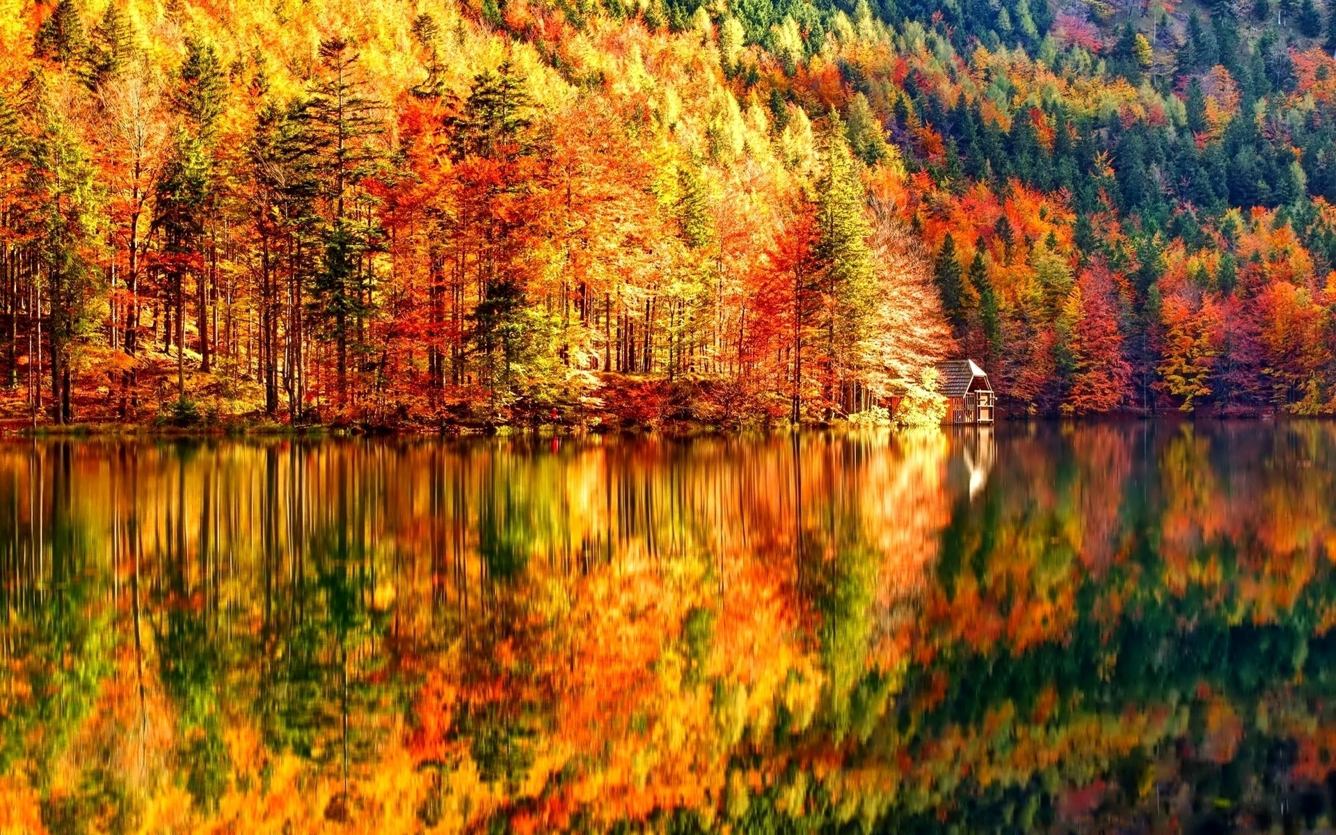 autumn fall leaf nature wood water outdoors landscape season lake tree river park reflection scenic bright color maple scenery forest house trees