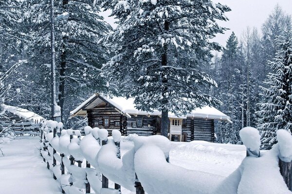 Casa a un piano nella foresta invernale