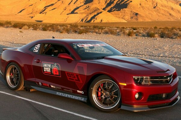 Red sports car on a prairie background