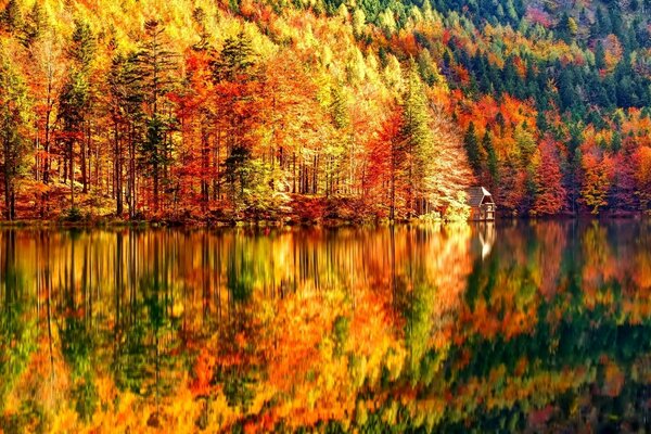 Golden autumn, forest along the river