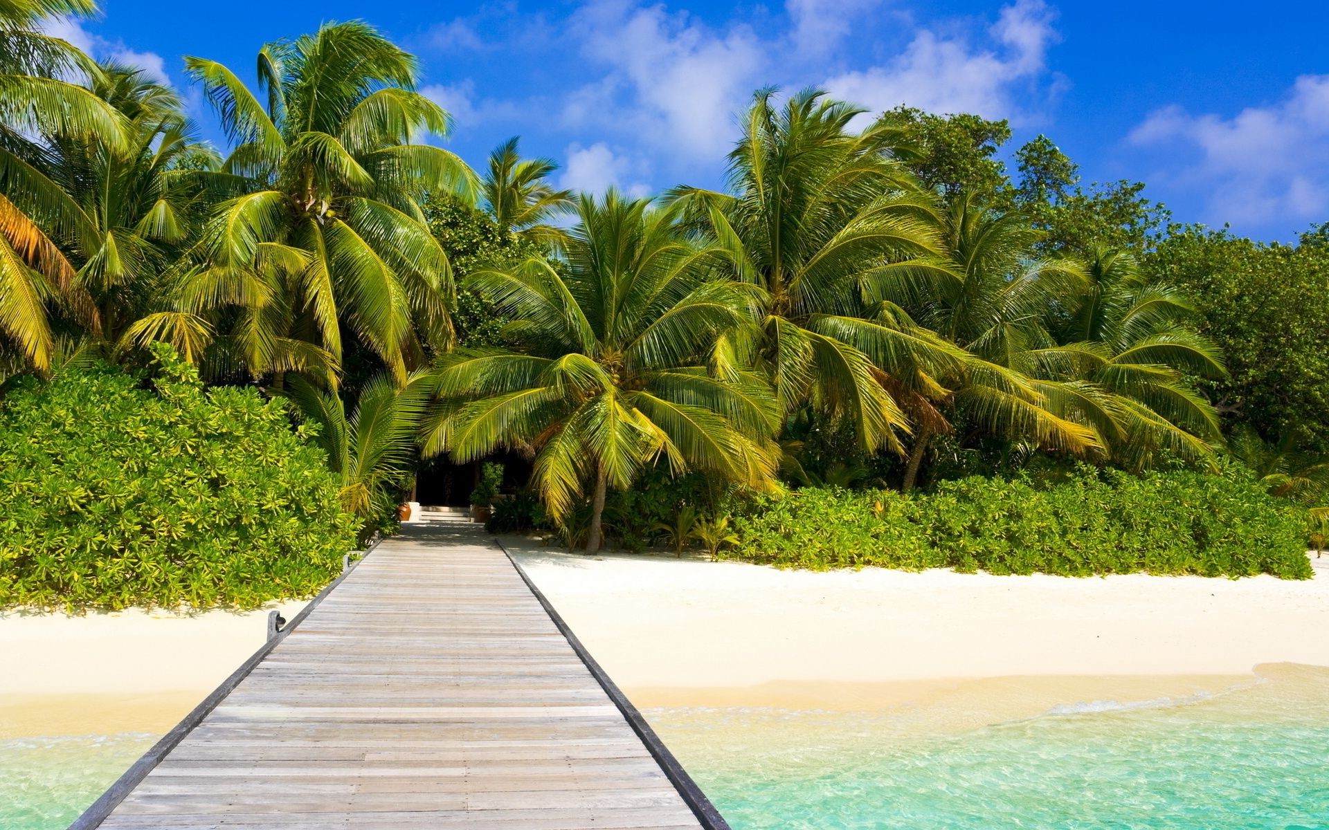 mer et océan tropical palmiers paradis plage noix de coco resort exotique été idyllique détente île sable vacances soleil arbre lagon turquoise paysage mer voyage