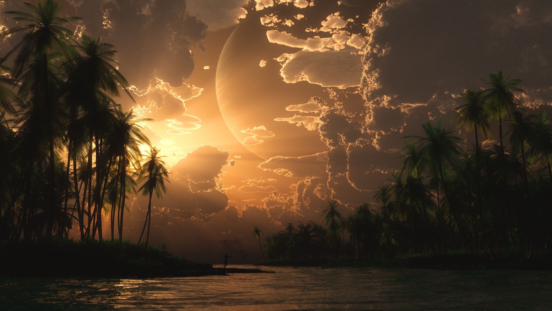 пейзажи закат пляж тропический солнце ладони дерево рассвет океан воды вечером небо остров сумрак моря природа песок лето кокосовое пейзаж