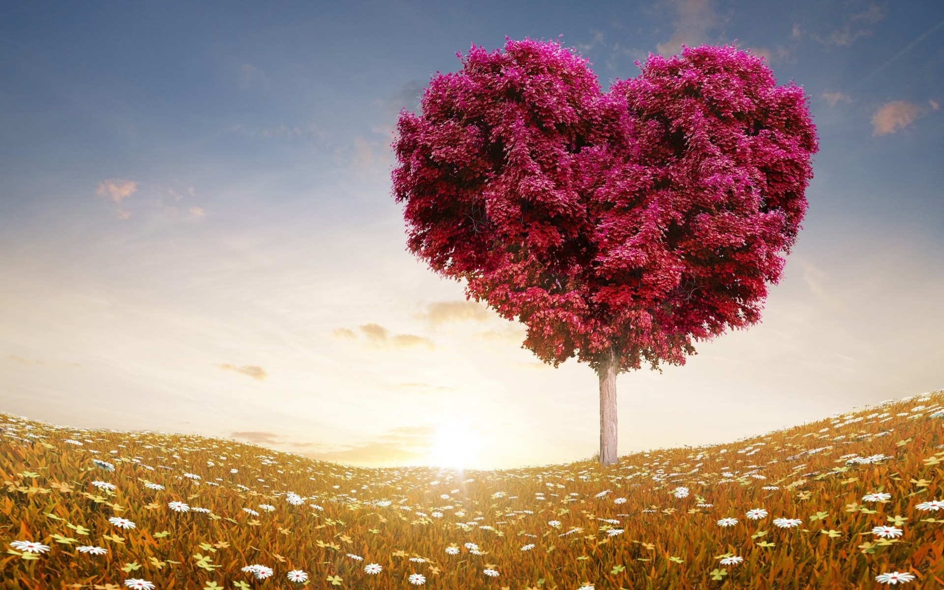 fotobearbeitung landschaft himmel natur im freien sonne baum landschaft gutes wetter winter dämmerung schnee liebe herz valentinstag